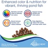 image:imageAquascape Premium Color Enhancing Fish Food Pellets for Pond Koi Goldfish and More 22 lbs  1 kg44 Pounds