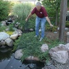 image:imageAquascape Protective Pond Netting Contractor Grade Bulk for Pond and Water Garden 30 Feet x 100 Feet  7400330 Feet x 100 Feet