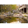 image:imageAquascape 98895 Cold Water Treatment Beneficial Bacteria Liquid 4 LTR11 Gallon for Pond Water Feature Waterfall