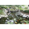 image:imageAquascape 53037 Complete Pond Kit 21 Feet x 26 Feet  Large  9PL  7000 Pump