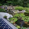 image:imageAquascape Large Deluxe Pond Kit 21 x 26 with AquaSurge 40008000 Adjustable Flow Pond Pump  53067Medium