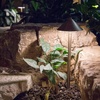 image:imageAquascape Path and Area LED Landscape Light Hat Top Design Durable Brass Antique Bronze Finish 3Watt Low Voltage LVL  84063Hat Top