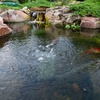 image:imageAquascape Pond Aerator Diffuser SelfCleaning EPDM Rubber Membrane 10inch Black  61010