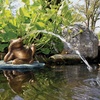image:imageAquascape Lazy Frog on Lily Pad Spitter Fountain for Ponds and Water Gardens 78311
