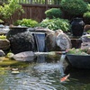image:imageAquascape Clear Pond Water Treatment for Dosing System SL 96091CLEAR